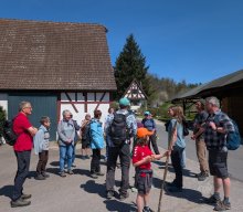 Flechten und Kiefernwälder