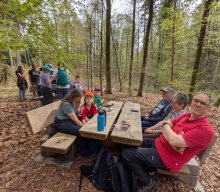 Flechten und Kiefernwälder