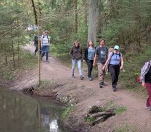 Flechten und Kiefernwälder