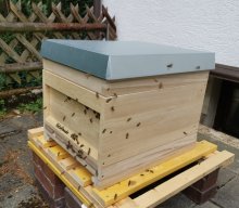 Bienen