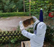 Bienen