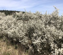 Wanderung der Senioren nach Lieritzhofen
