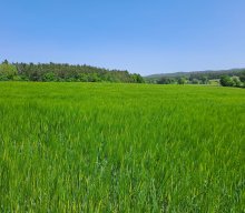 Themenwanderung "Wasser" Ranna